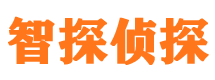 鄂城市私家侦探